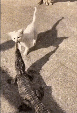   , , , 
