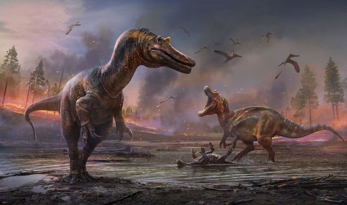«Адская цапля с крокодиловым лицом»: британские ученые обнаружили 2 новых вида хищных динозавров Наука, Палеонтология, Динозавры, Открытие, Ученые