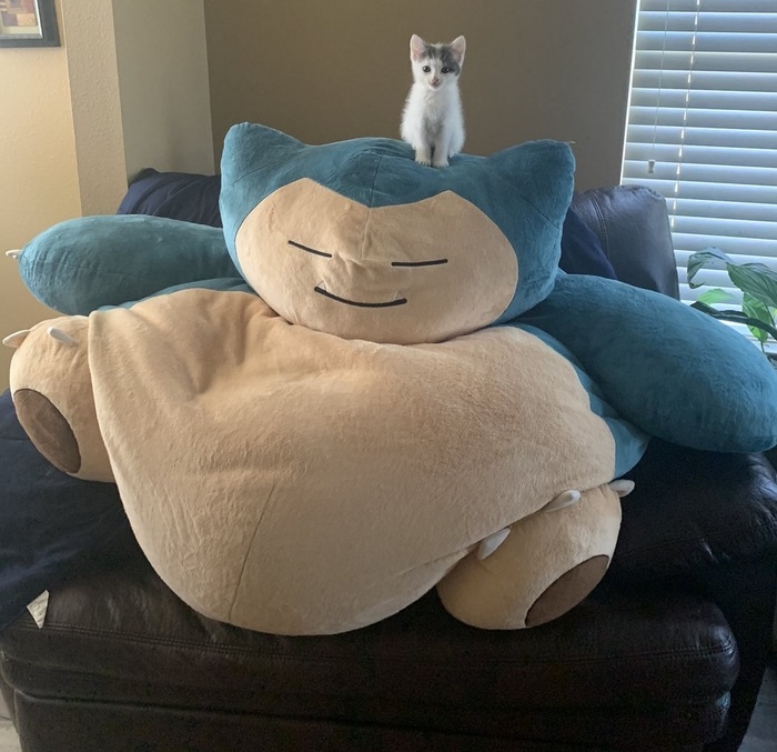     ,  , , , , 