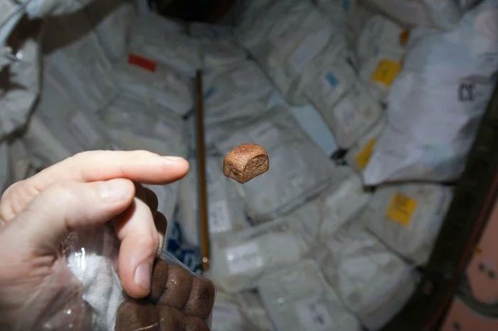 Space bread - Space, Roscosmos, ISS, Food, Longpost, Space Food, Bread