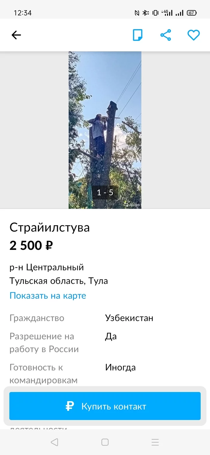 Немного об объявлениях - Длиннопост, Юмор, Смешные объявления