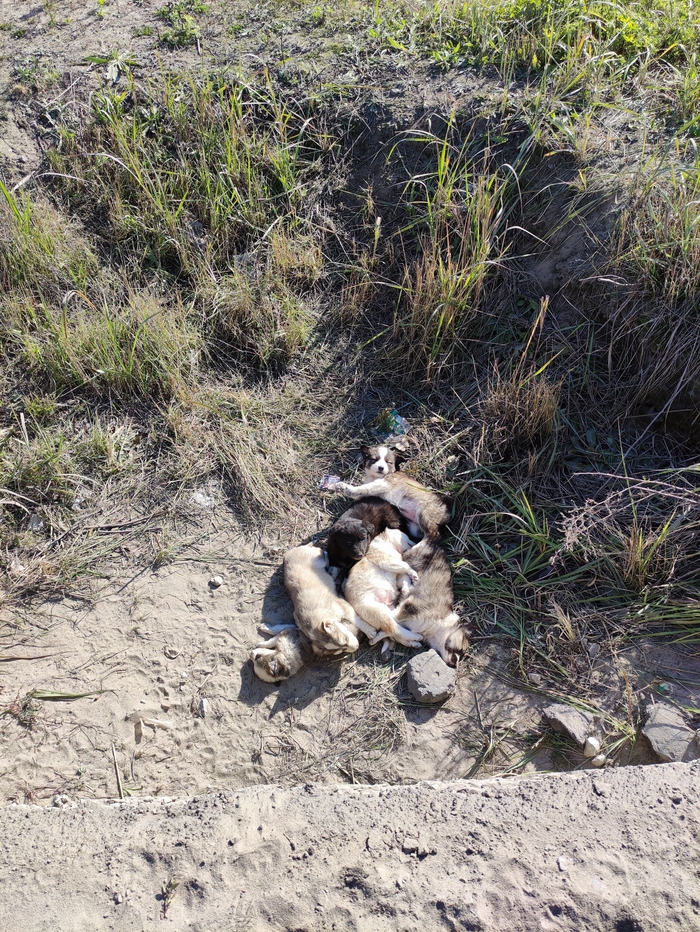 ����������, ������� ���!