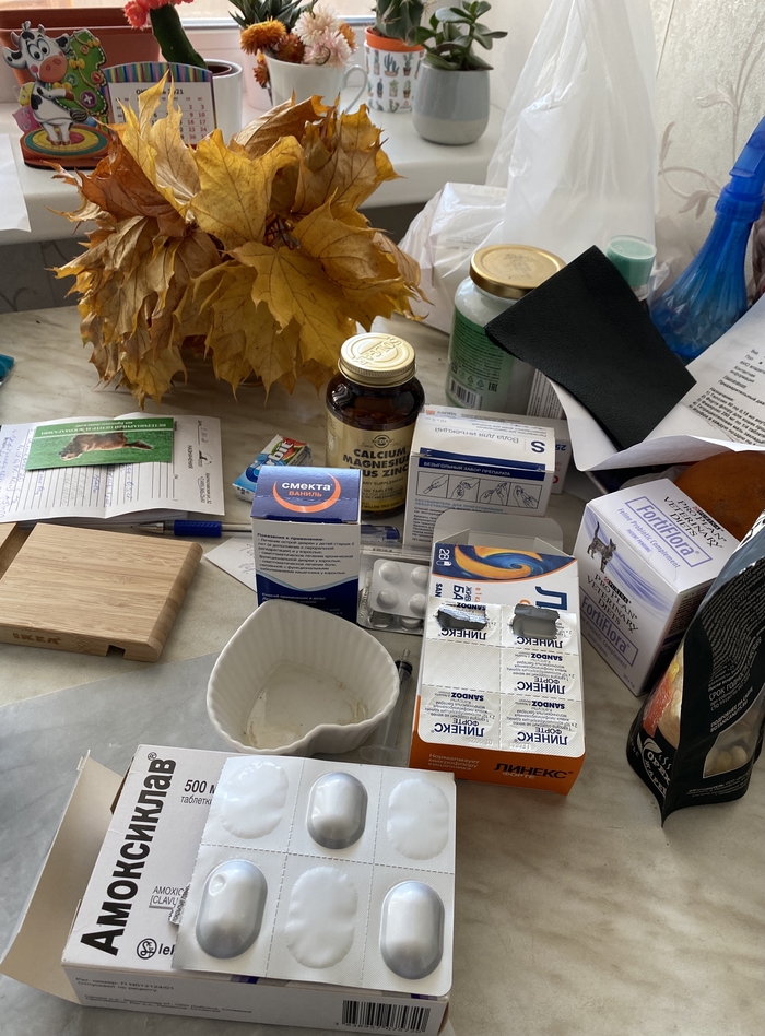 ������� �����