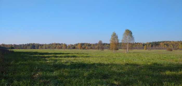 autumn contrast - Autumn, Sky, Field, Forest, The photo