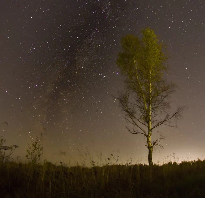 Walk at night - My, Astrophoto, Milky Way, Astronomy, Sky, Stars, Night