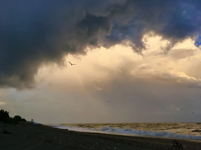 Summer, Abkhazia - My, Black Sea, Abkhazia, The photo