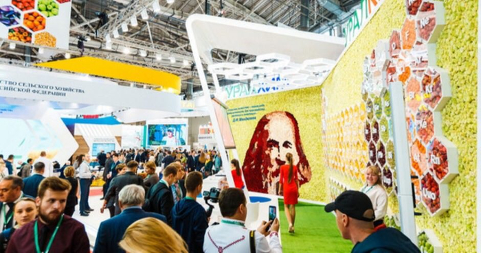 Что представлено на выставке «Золотая осень - 2021»