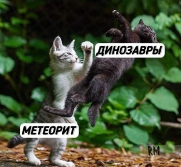 That's how it was - Humor, Memes, cat, Dinosaurs, Images, Picture with text