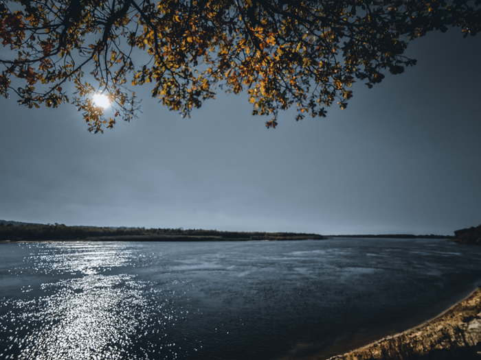  , Lightroom mobile,  