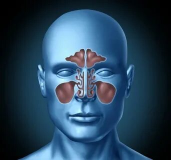Take the light, open your sinuses! Alleluia! - Nose, Sinuses, Treatment, Longpost, Mat