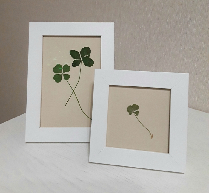 Четырехлистный клевер