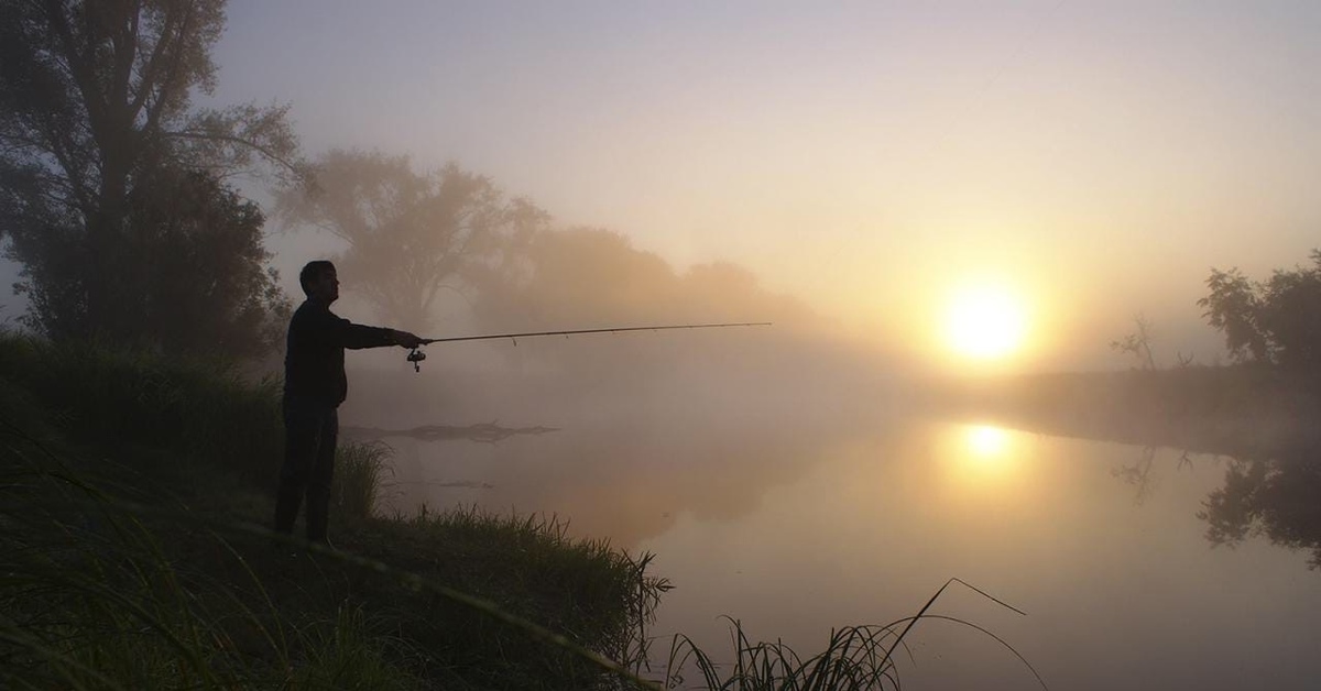 Летним утром мы направляемся на рыбалку природа. Рыбак на рассвете. Летняя рыбалка. Рыбалка на рассвете. Красивая природа рыбалка.