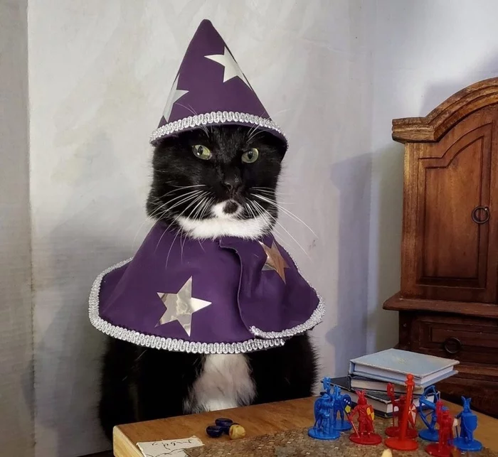 No, we won't throw, let's feed - cat, Tabletop role-playing games