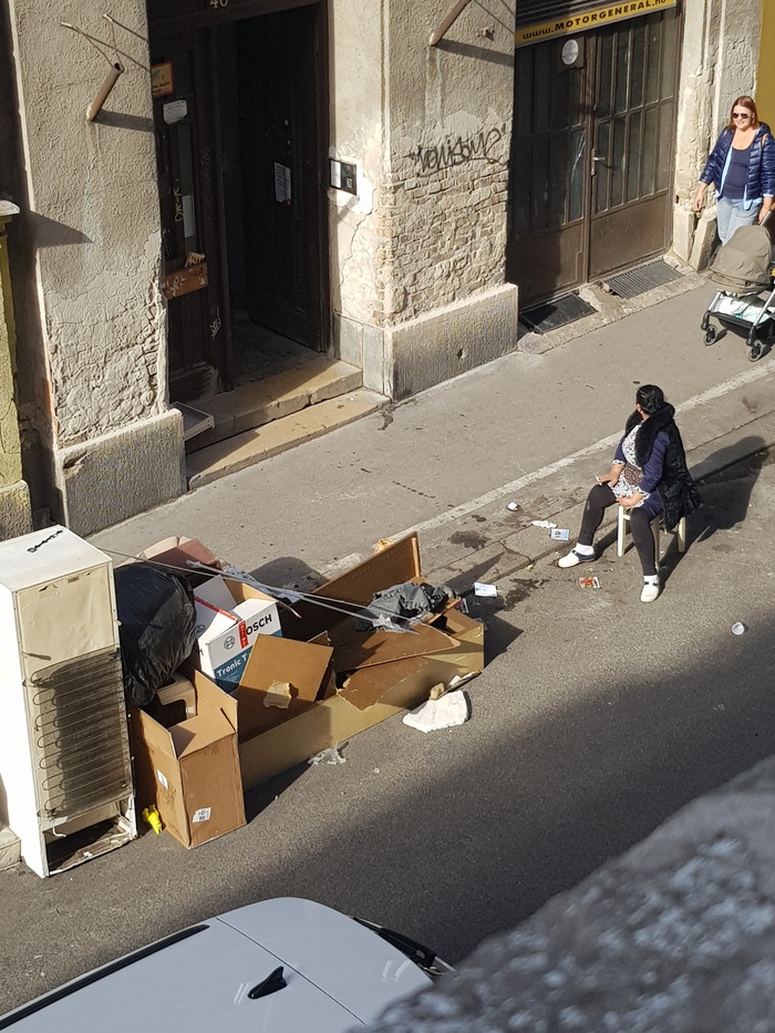 Уборка мусора Будапешт Венгрия, Мусор, Длиннопост