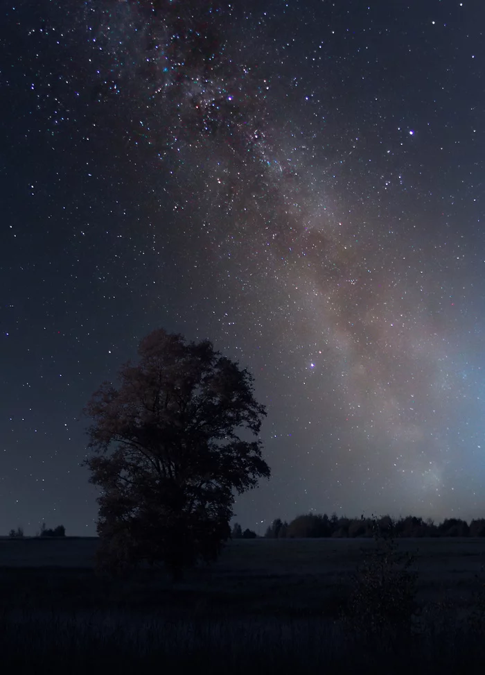 clear and quiet night - My, Astrophoto, Milky Way, Sky, Field, Stars, Night