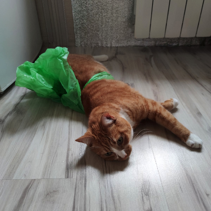 ������ ������� �������