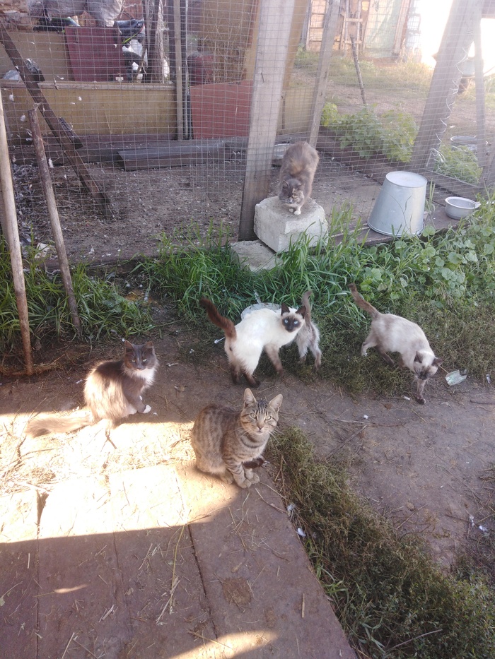 � �������� �����...