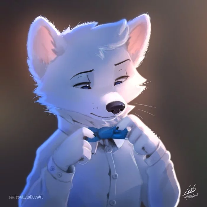 Butterfly - Furry, Furry fox, Letodoesart, The bow tie, Art