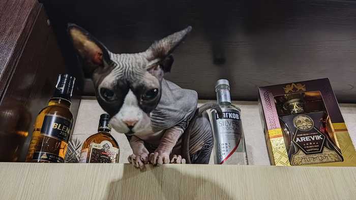 � �� �����