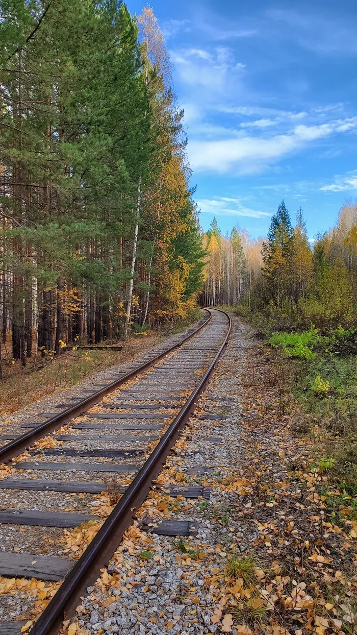 around the corner - My, Nature, Mobile photography, Railway, Forest