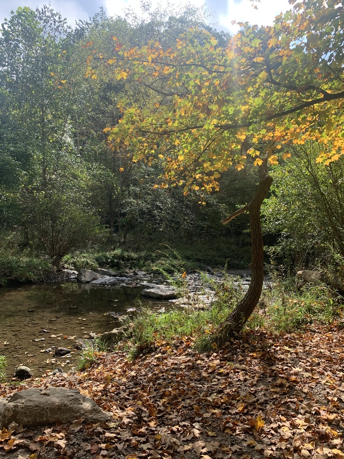 Осень в Штатах