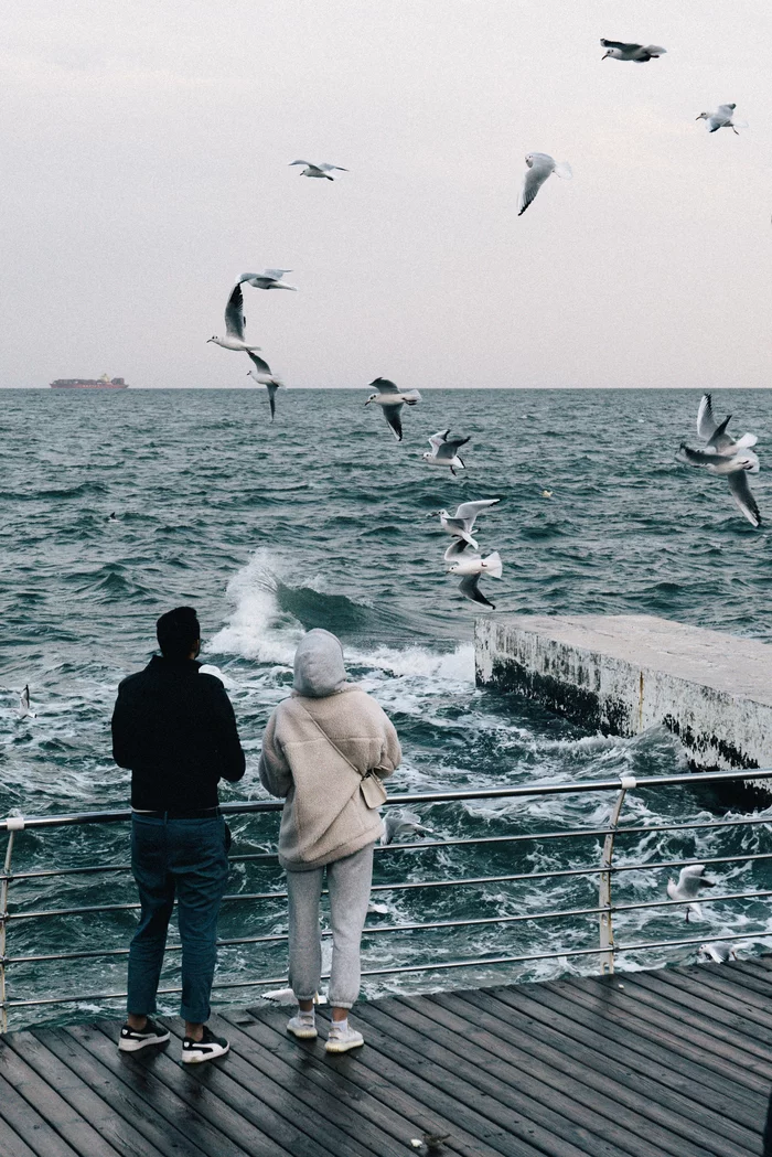Girls are such girls - My, The photo, Sea, Odessa, Seagulls, Longpost