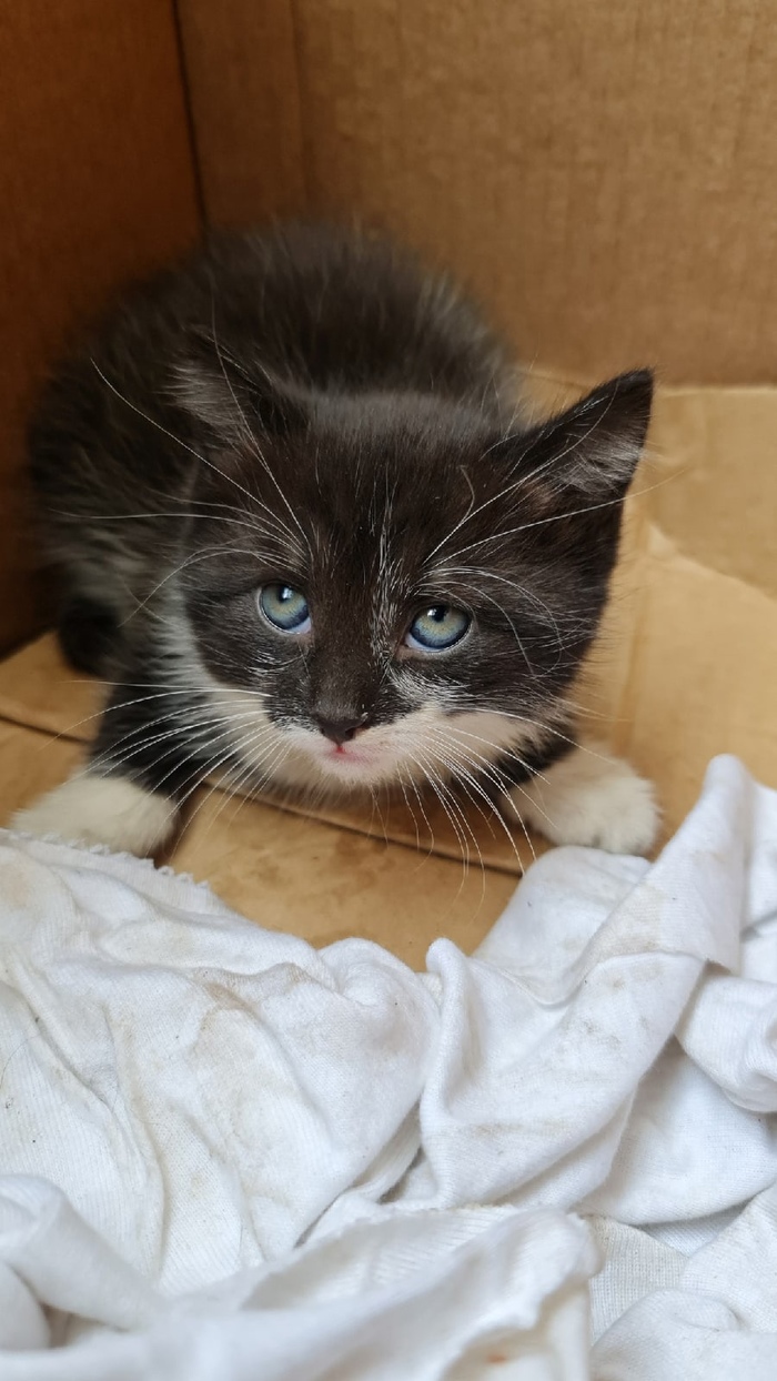 алеся крупанина кто такая. Смотреть фото алеся крупанина кто такая. Смотреть картинку алеся крупанина кто такая. Картинка про алеся крупанина кто такая. Фото алеся крупанина кто такая алеся крупанина кто такая. Смотреть фото алеся крупанина кто такая. Смотреть картинку алеся крупанина кто такая. Картинка про алеся крупанина кто такая. Фото алеся крупанина кто такая