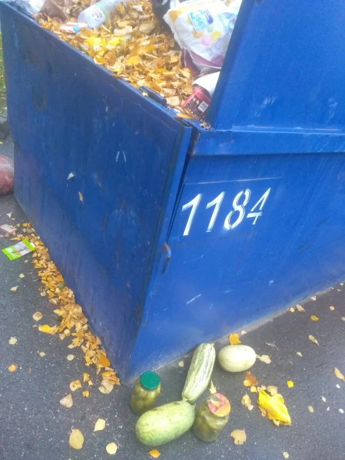 Ffffat zucchini and blanks - My, Zucchini, Cucumbers, Blanks, Autumn, Enough, Trash heap