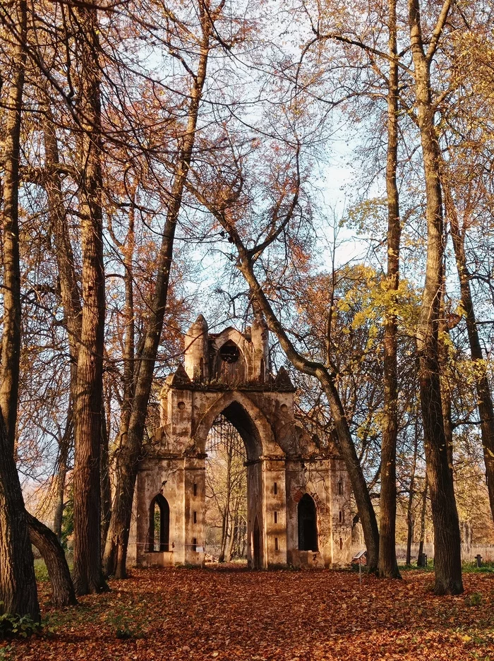 Осень в Тайцах - Моё, Осень, Тайцы, Мобильная фотография, Фотография