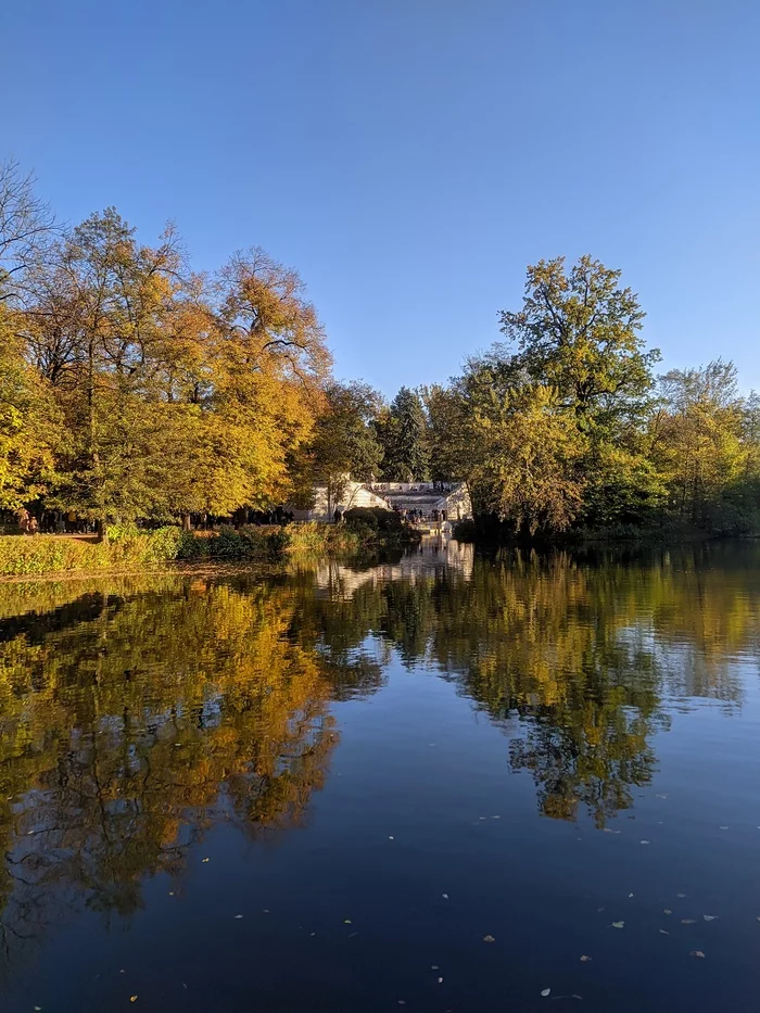 Short walk in the park Krlewski azienki (Royal Baths) - My, Autumn, Warsaw, Mobile photography, Photo on sneaker, Longpost
