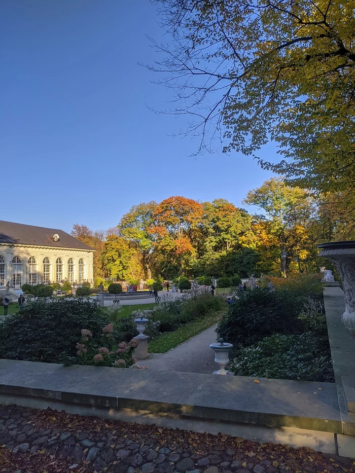 Short walk in the park Krlewski azienki (Royal Baths) - My, Autumn, Warsaw, Mobile photography, Photo on sneaker, Longpost