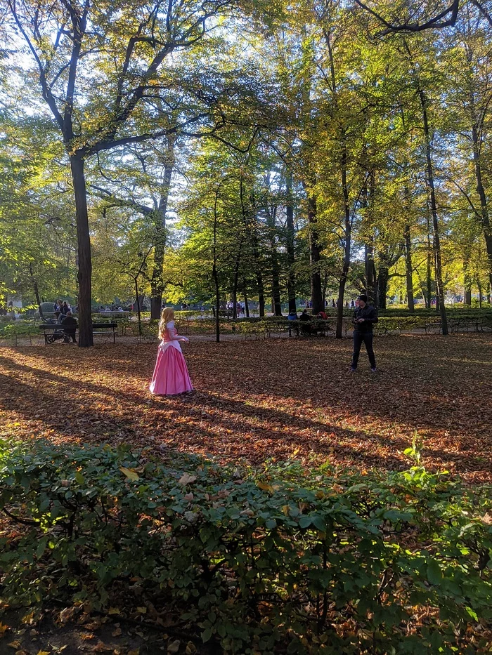 Short walk in the park Krlewski azienki (Royal Baths) - My, Autumn, Warsaw, Mobile photography, Photo on sneaker, Longpost