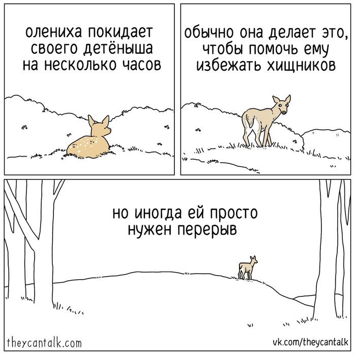 выпороток что это такое. Смотреть фото выпороток что это такое. Смотреть картинку выпороток что это такое. Картинка про выпороток что это такое. Фото выпороток что это такое