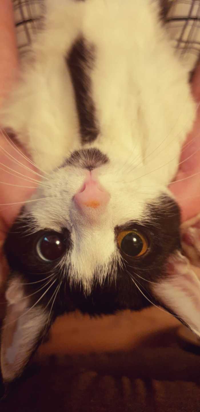 Грязный нос