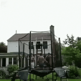 GIFs of the day - GIF, miscellanea, Assorted, Longpost