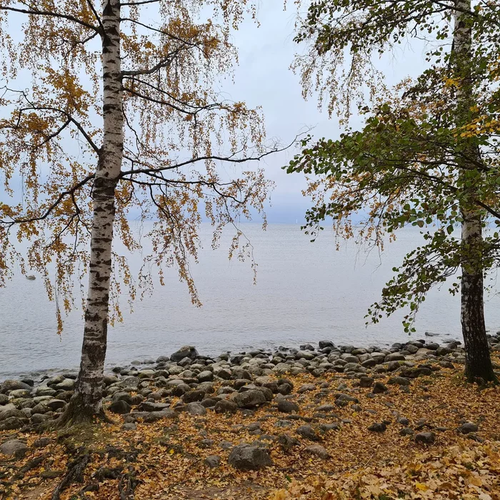 Осень в Петергофе. Финский залив. Красивое... - Моё, Санкт-Петербург, Фотография, Петергоф, Финский залив, Осень