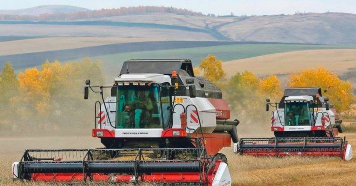 Уборка полей комбайнами. Комбайн Нива в поле. Комбайн Ростсельмаш. Уборка урожая комбайнами. Зерновой комбайн.