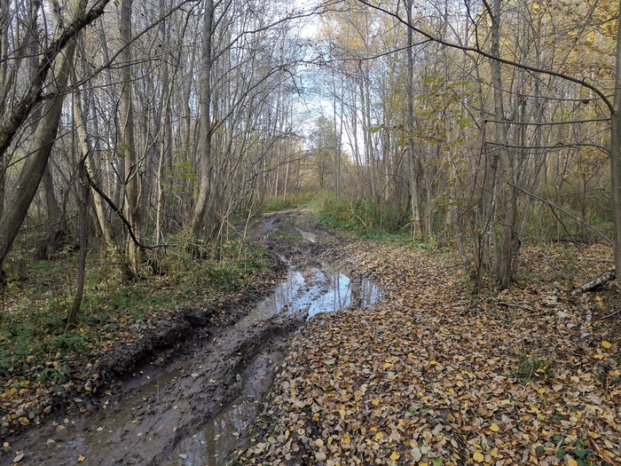 на каком уровне должно быть седло велосипеда. Смотреть фото на каком уровне должно быть седло велосипеда. Смотреть картинку на каком уровне должно быть седло велосипеда. Картинка про на каком уровне должно быть седло велосипеда. Фото на каком уровне должно быть седло велосипеда