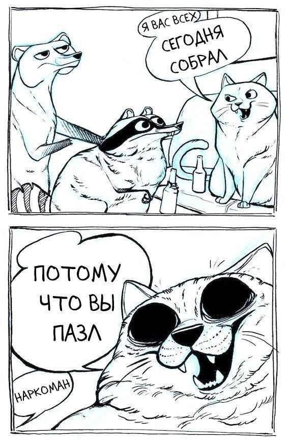 что лучше енот или хорек. Смотреть фото что лучше енот или хорек. Смотреть картинку что лучше енот или хорек. Картинка про что лучше енот или хорек. Фото что лучше енот или хорек