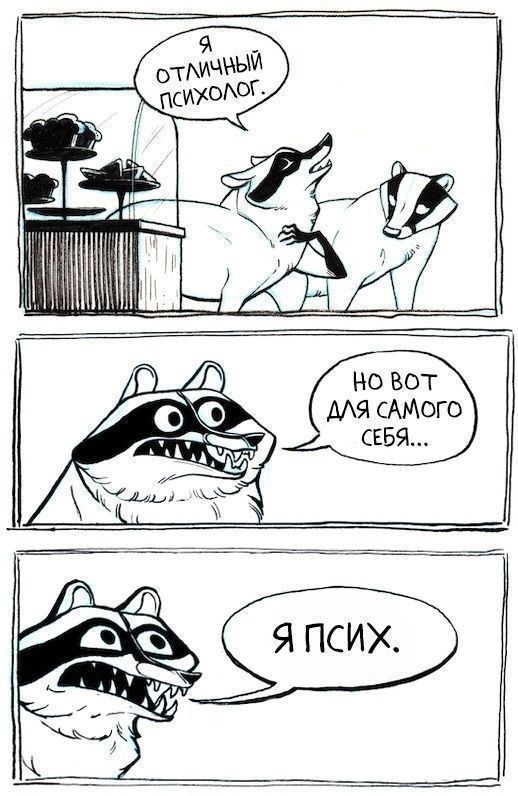 что лучше енот или хорек. Смотреть фото что лучше енот или хорек. Смотреть картинку что лучше енот или хорек. Картинка про что лучше енот или хорек. Фото что лучше енот или хорек