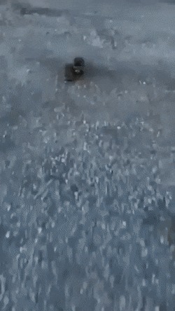   , , , 