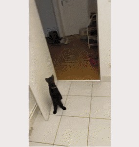   , , , 