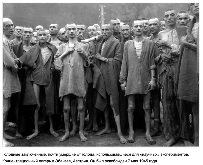 Experiment - Repeat, The Great Patriotic War, The Second World War, Concentration camp, Longpost