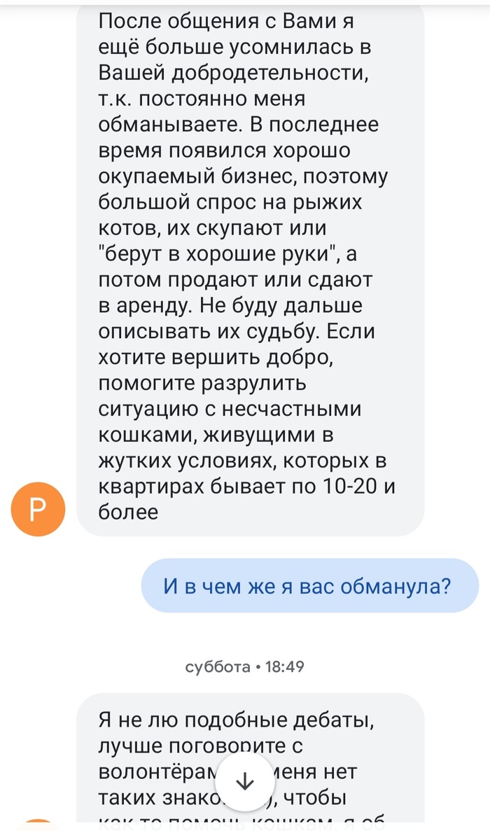 у кошки родились малыши но какие то уж очень странные. 163415830417439493. у кошки родились малыши но какие то уж очень странные фото. у кошки родились малыши но какие то уж очень странные-163415830417439493. картинка у кошки родились малыши но какие то уж очень странные. картинка 163415830417439493