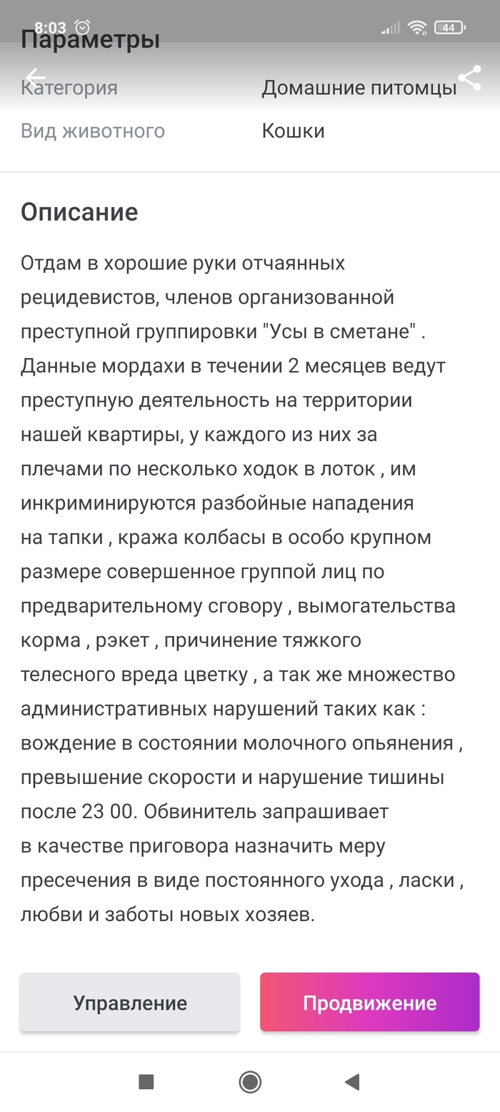 Как написать что нужен котенок. Смотреть фото Как написать что нужен котенок. Смотреть картинку Как написать что нужен котенок. Картинка про Как написать что нужен котенок. Фото Как написать что нужен котенок