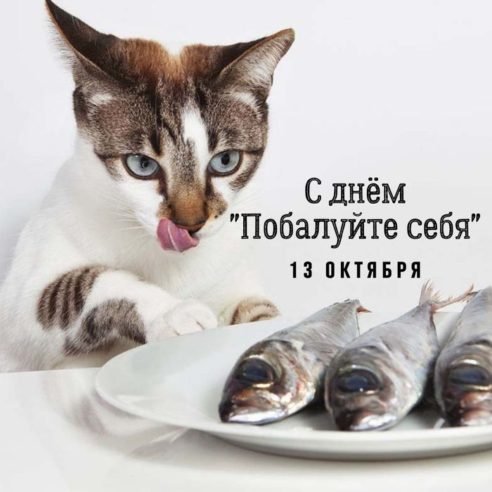 1634105606164460090.jpg