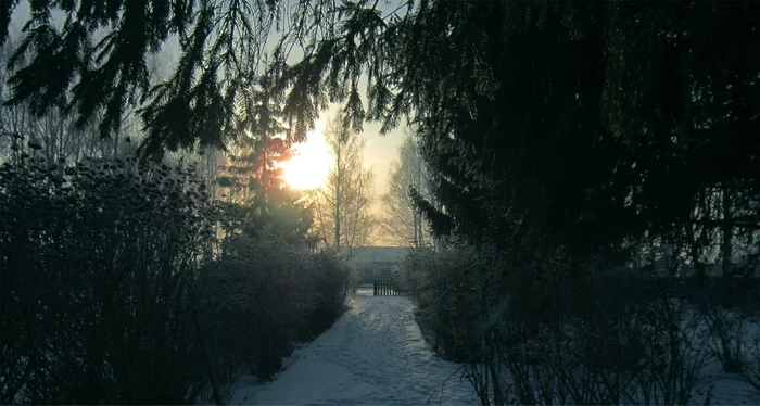 In December - My, The photo, Winter, Nature, Ulyanovsk region