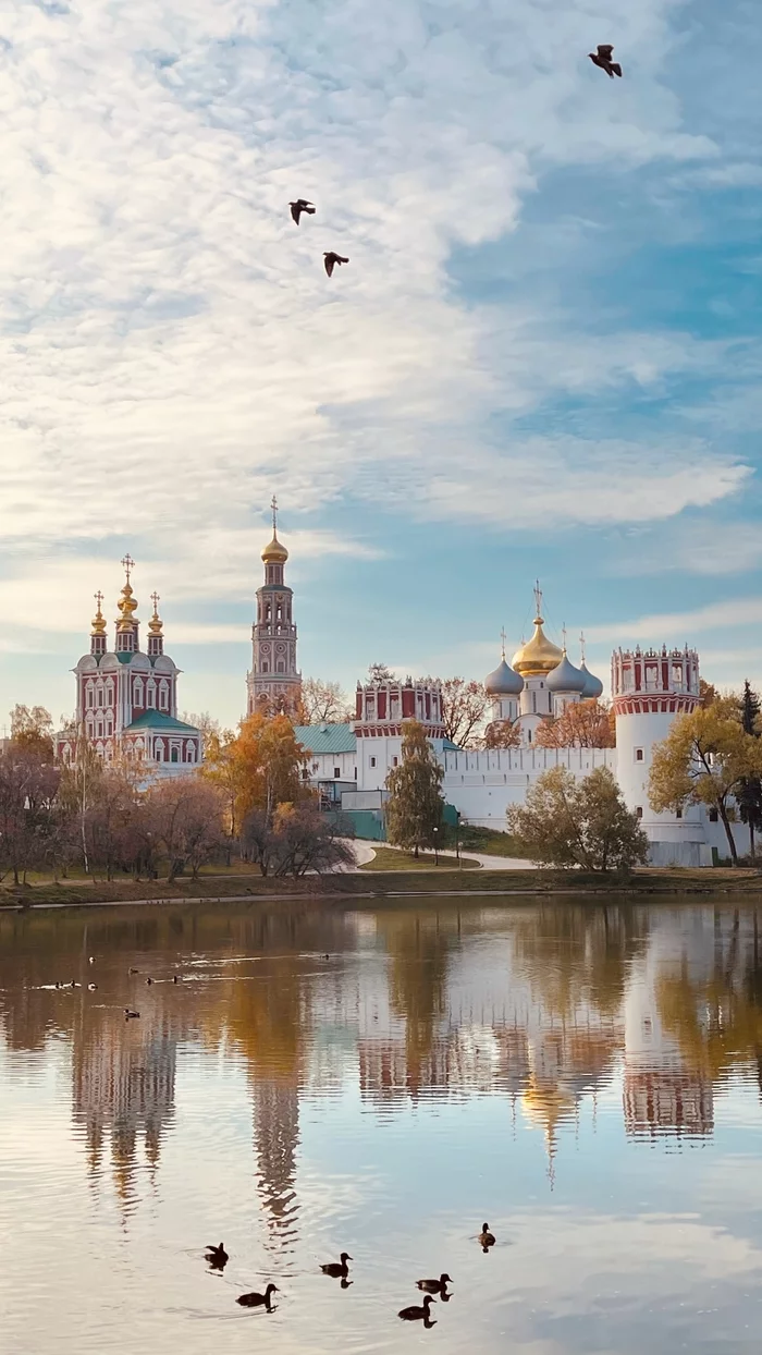 Novodevichy Convent - My, Novodevichy Convent, Autumn, Mobile photography, The photo, Moscow