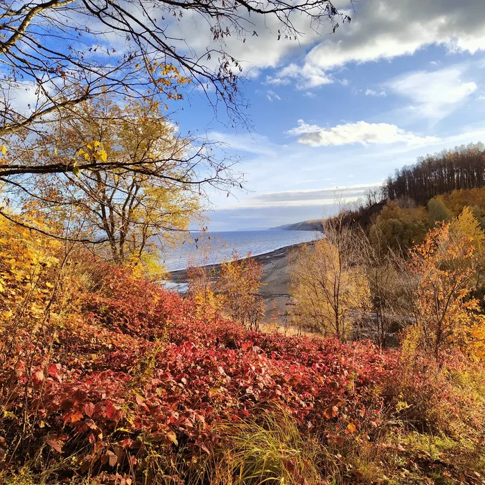 Golden autumn - Autumn, Nature, Longpost