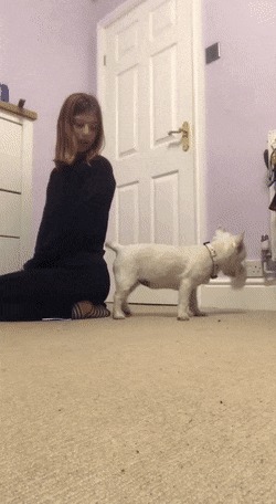   , , , 